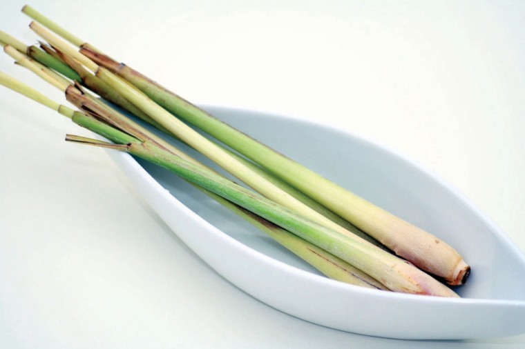 Lemon grass
